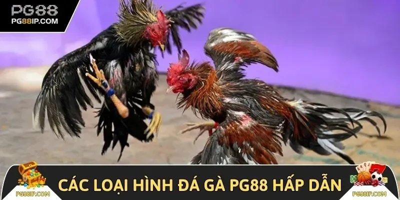Các loại hình hấp dẫn nên trải nghiệm tại đá gà PG88 
