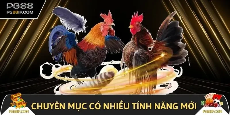 Chuyên mục được trang bị nhiều tính năng mới hấp dẫn 